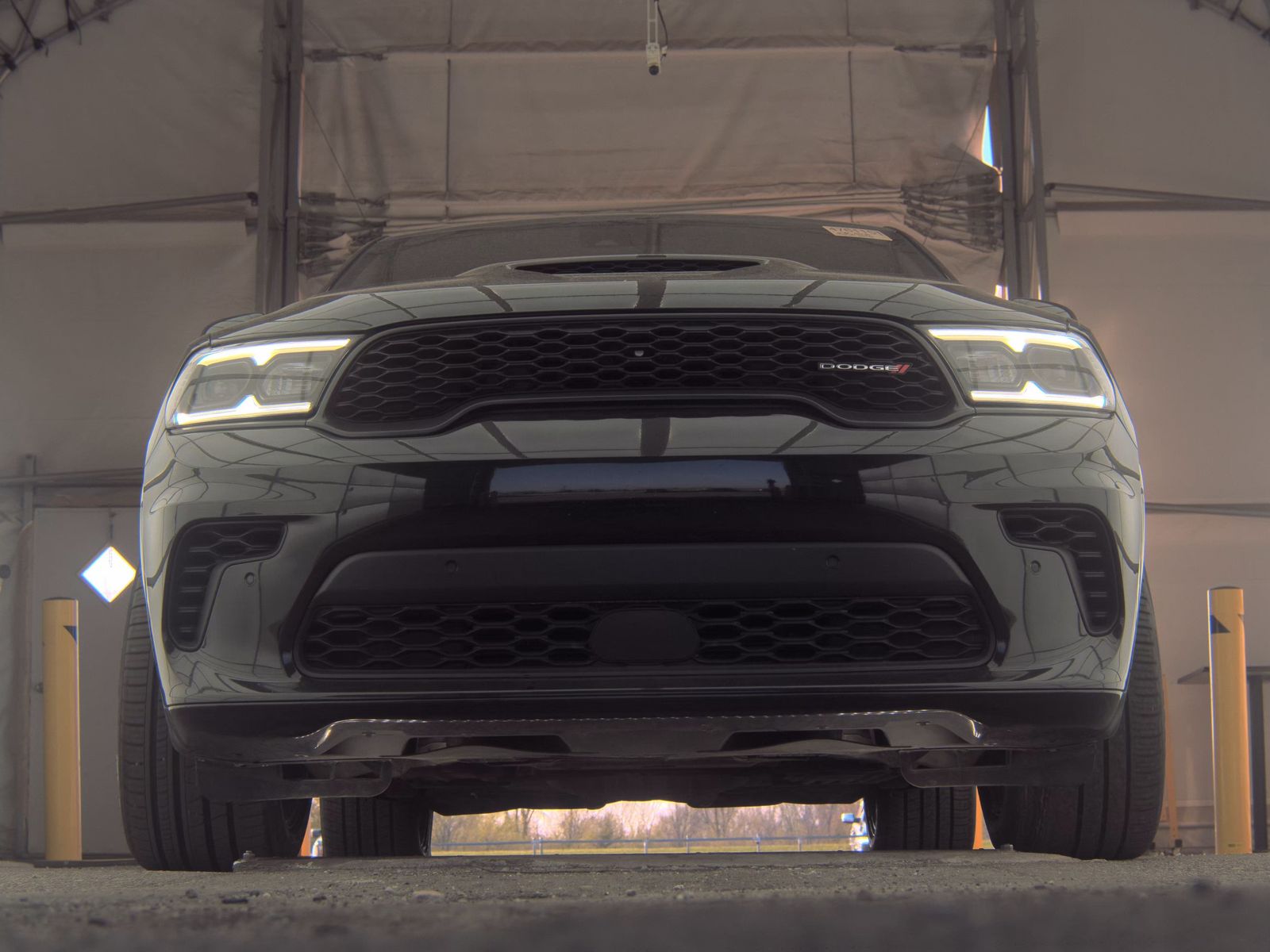 DODGE ANNIV PLUS - 4