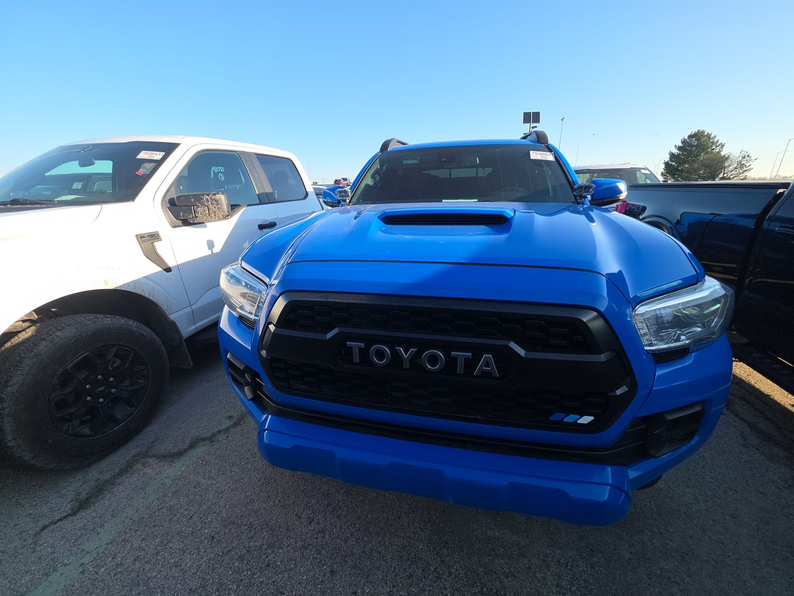 TOYOTA TACOMA - 3