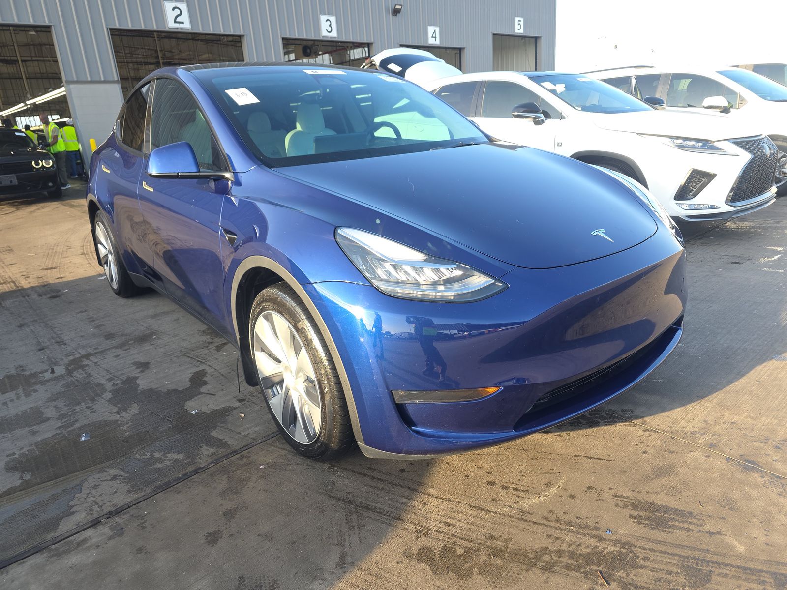 TESLA MODEL Y - 4