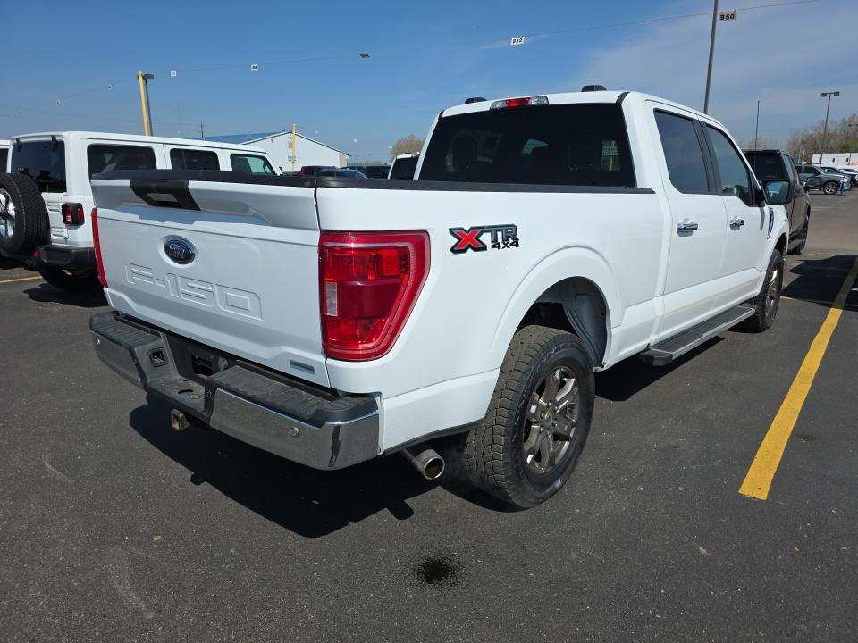 FORD F-150 - 5