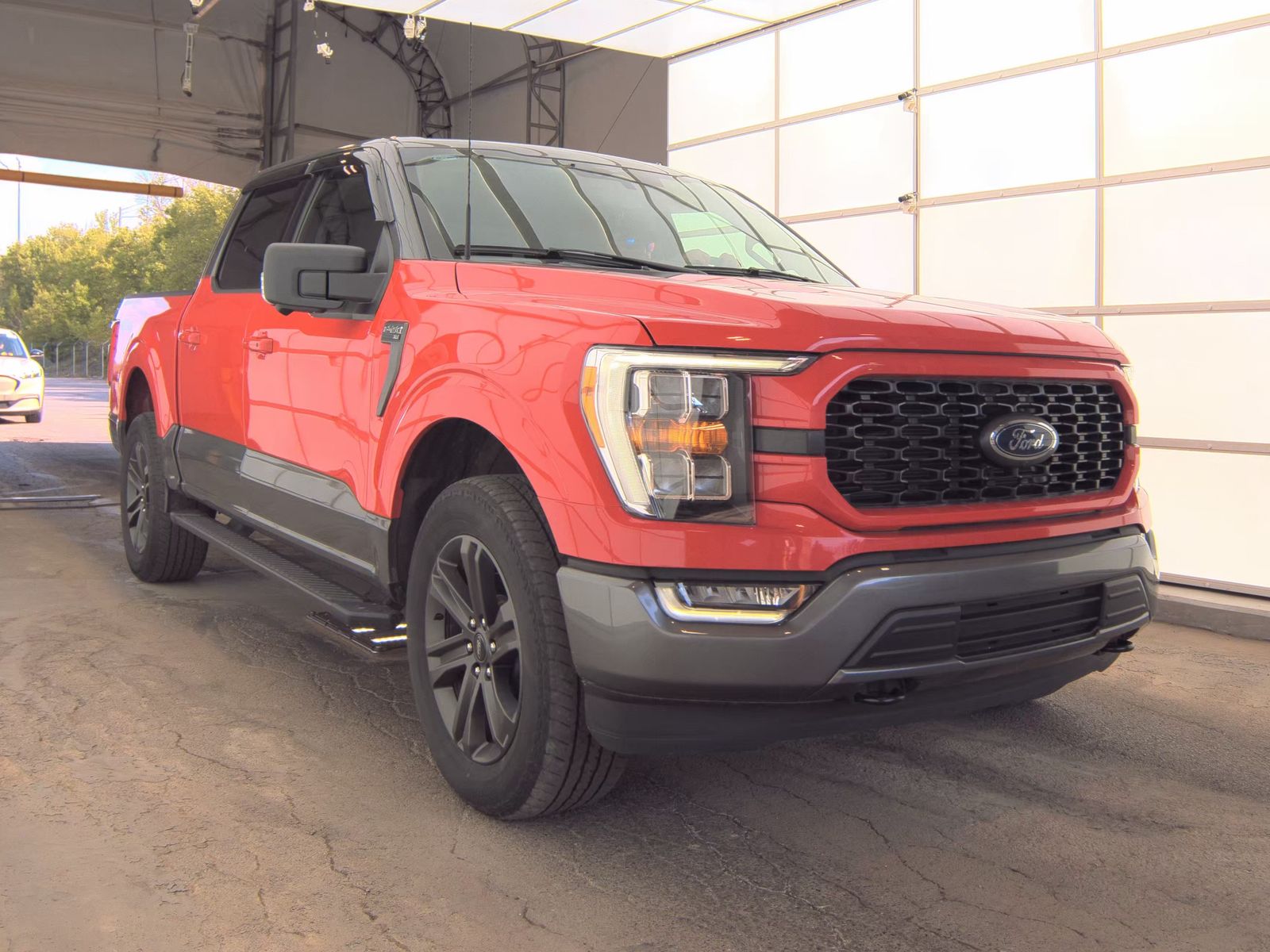 FORD F-150 - 5