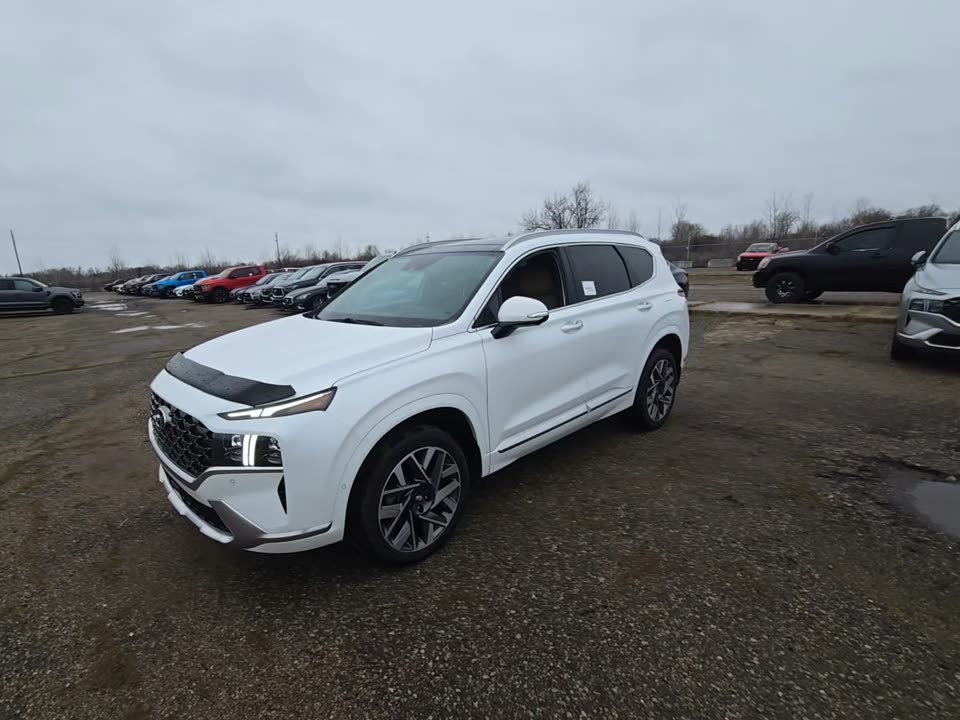 HYUNDAI ULT CALLIG - 1