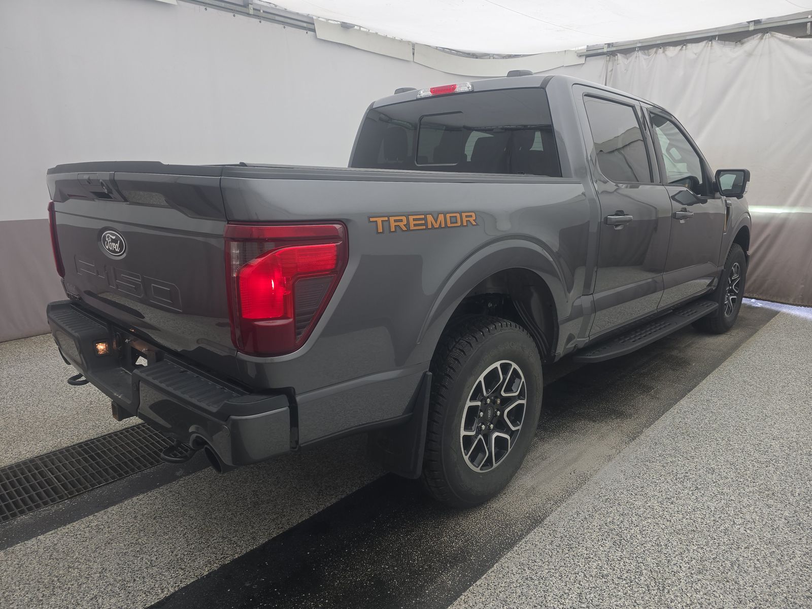 FORD F-150 - 5