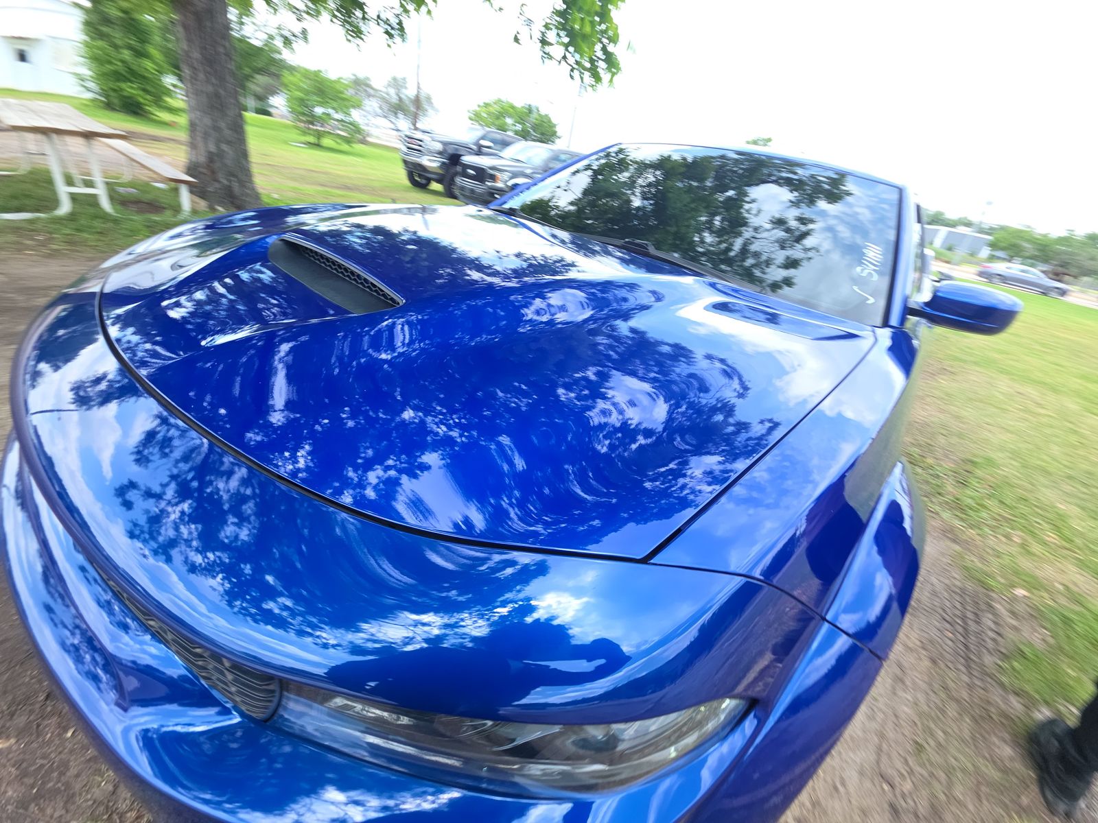 DODGE SCT PCK WD - 1