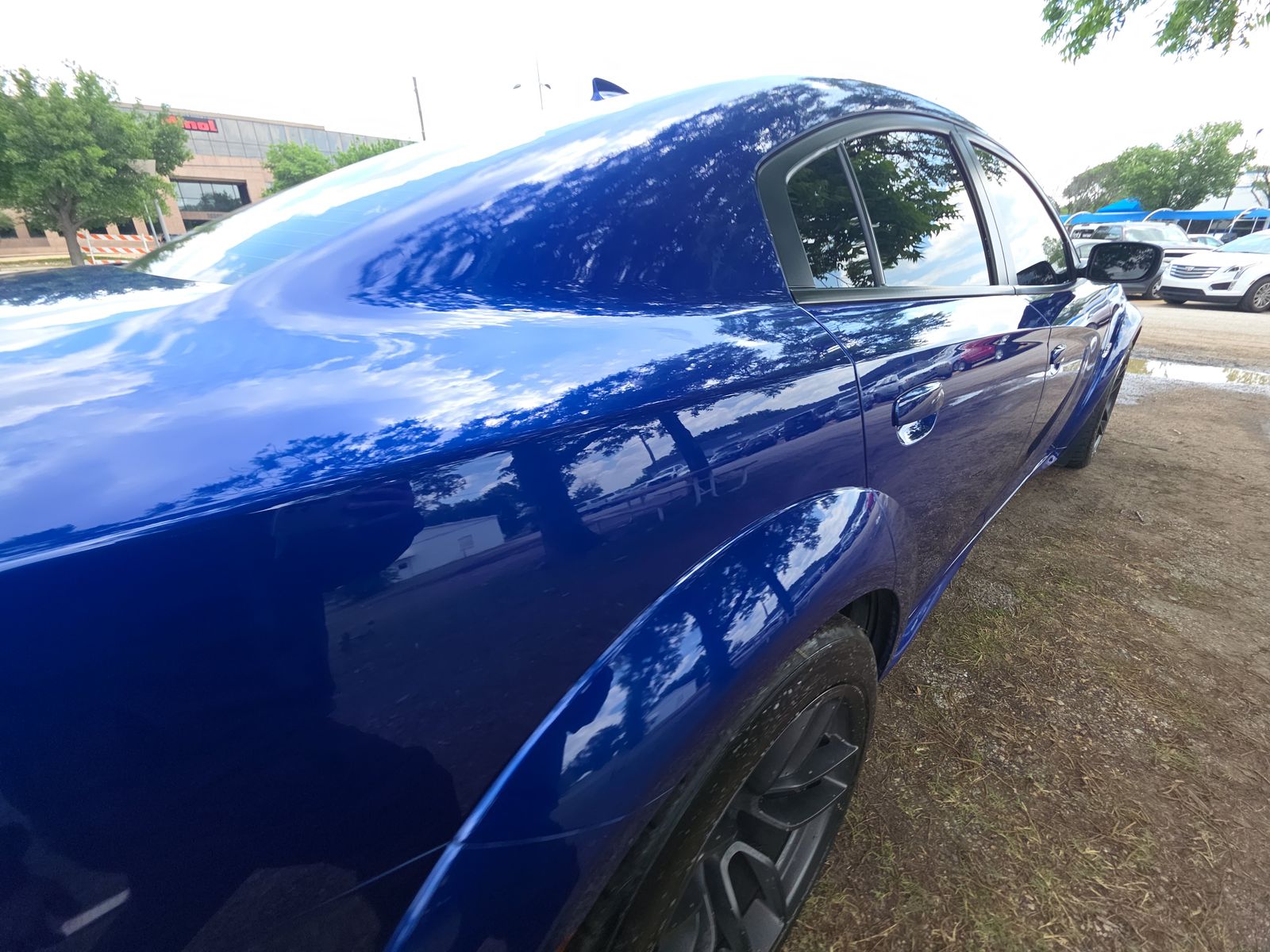 DODGE SCT PCK WD - 5