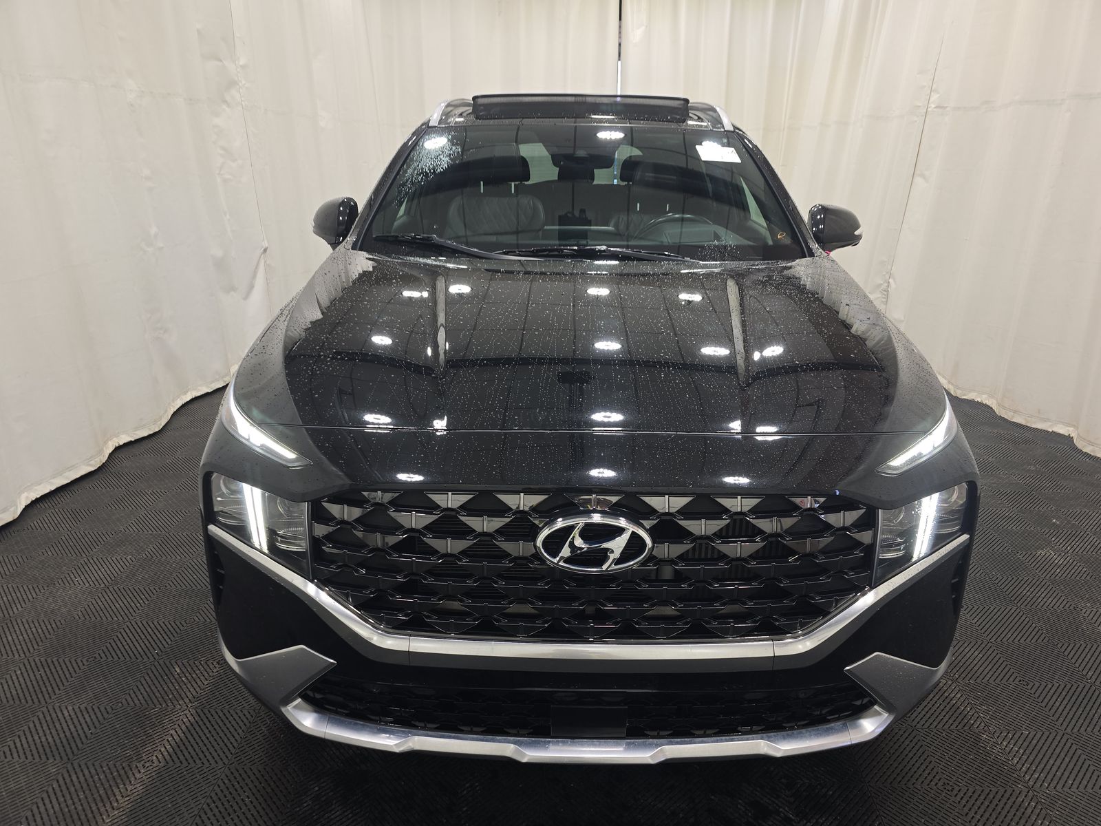 HYUNDAI CALLIGRAPH - 3
