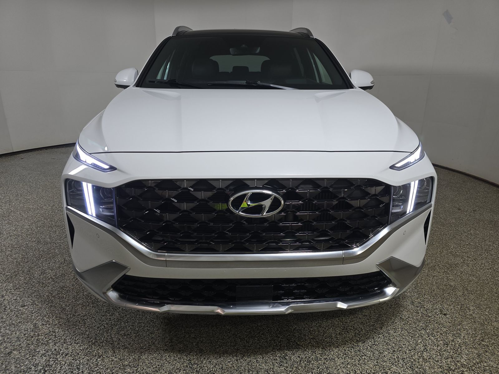 HYUNDAI CALLIGRAPH - 3