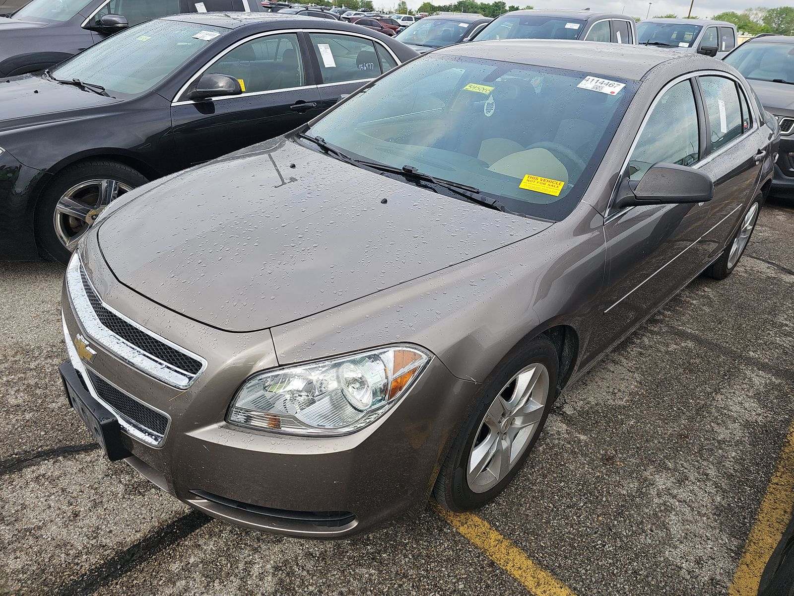 CHEVROLET LS W/1LS - 1