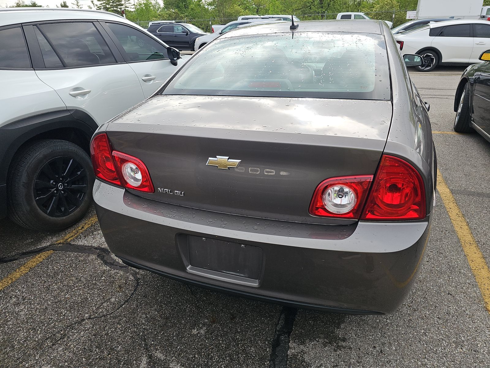 CHEVROLET LS W/1LS - 6