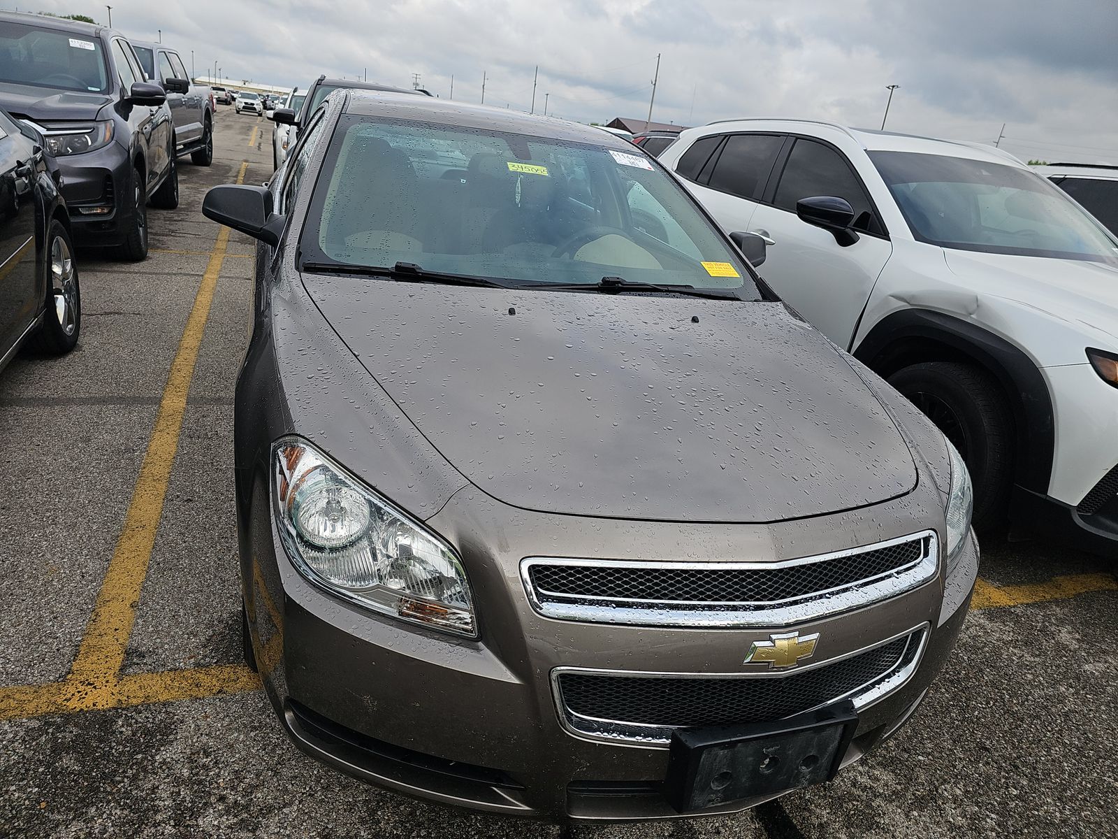 CHEVROLET LS W/1LS - 3