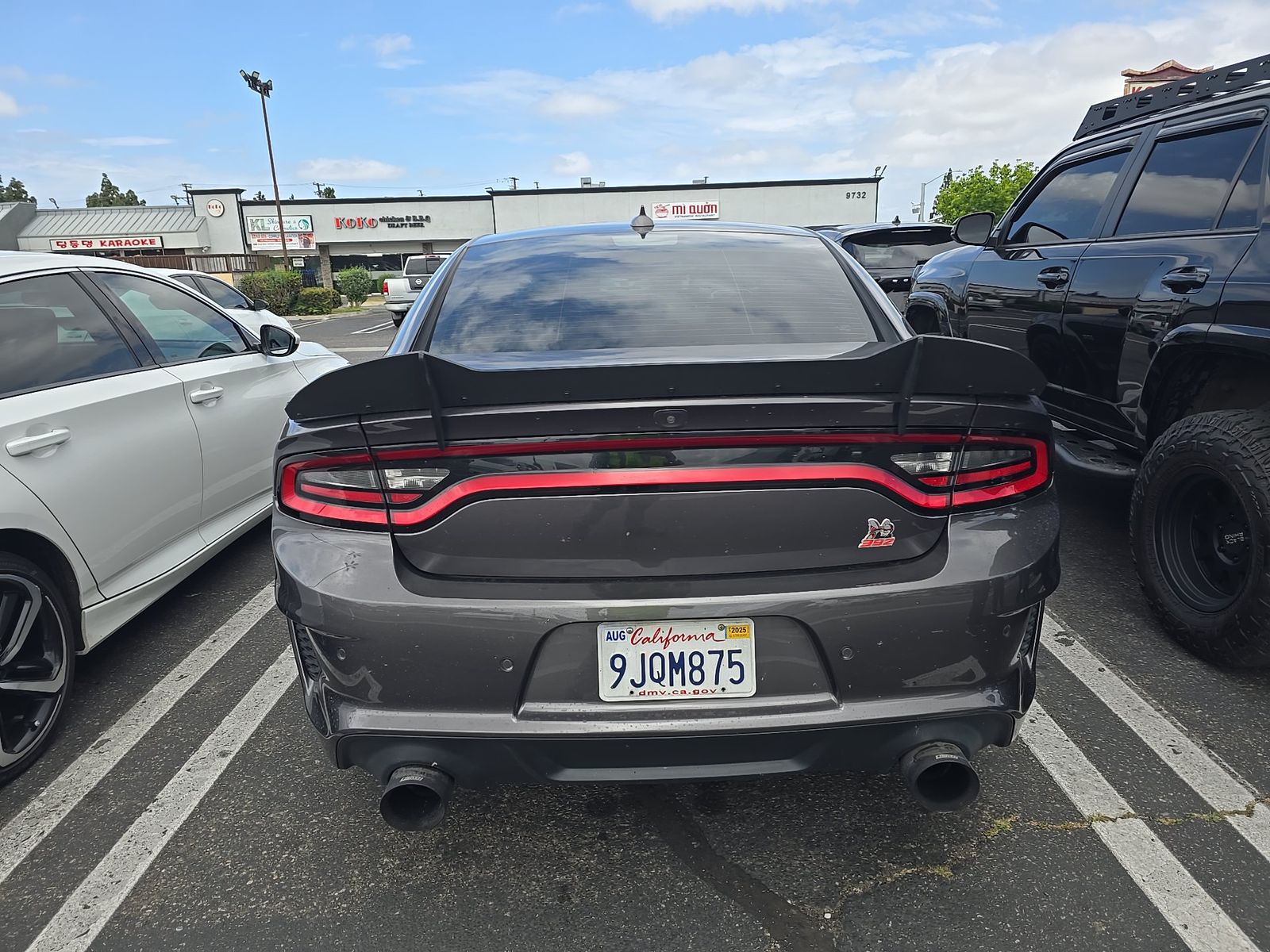 DODGE SCT PCK WD - 6