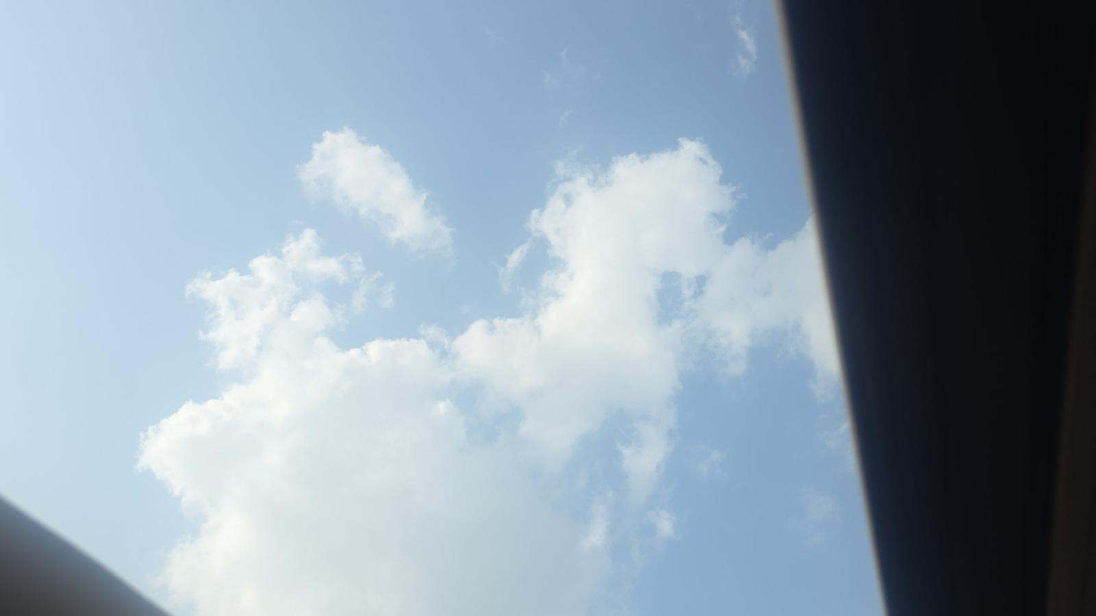 Thumbnail 29