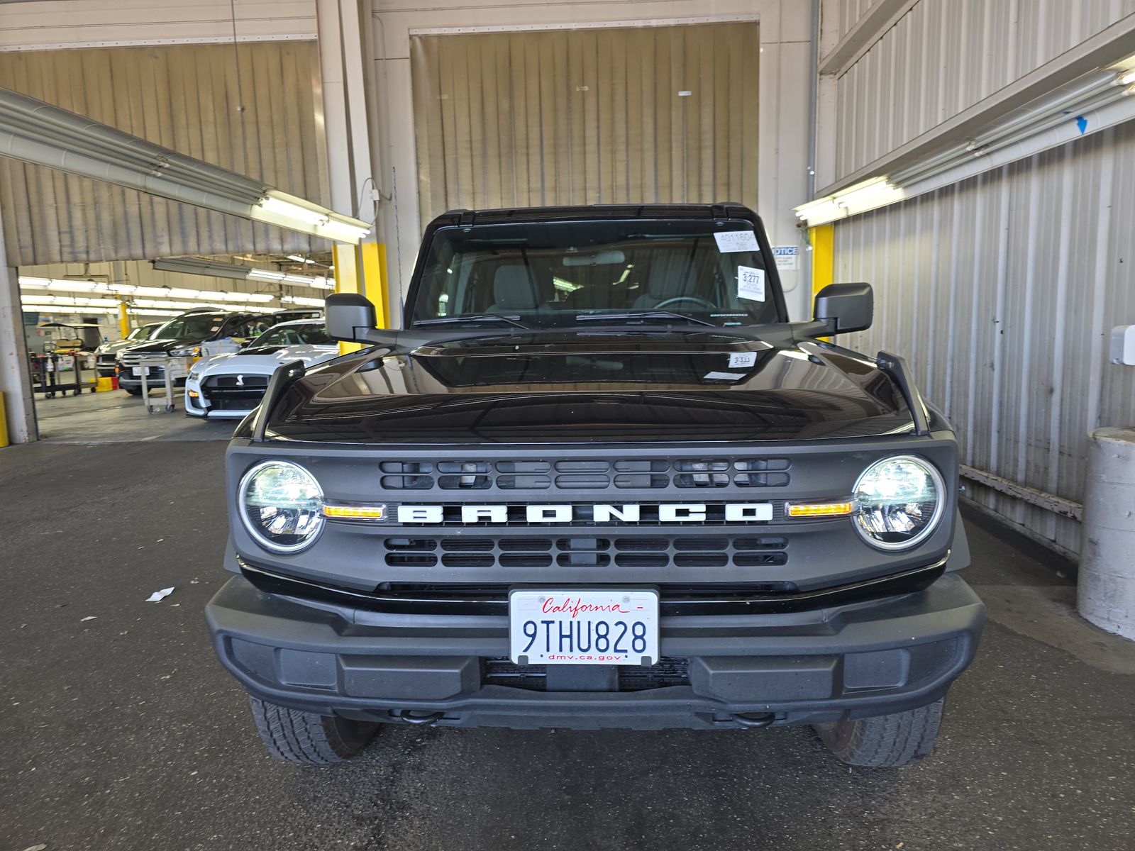 FORD BRONCO - 3