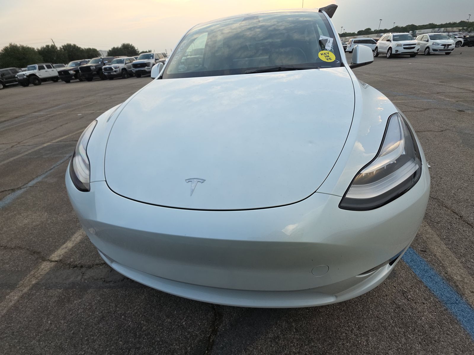 TESLA MODEL Y - 3