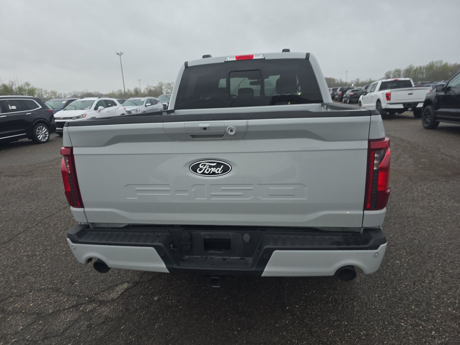 FORD F-150 - 6