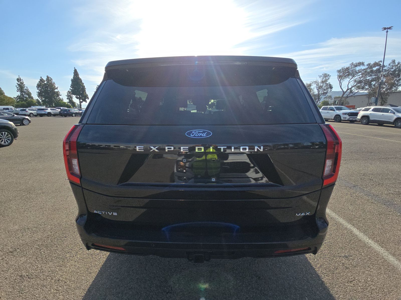FORD EXPEDITION MAX - 6