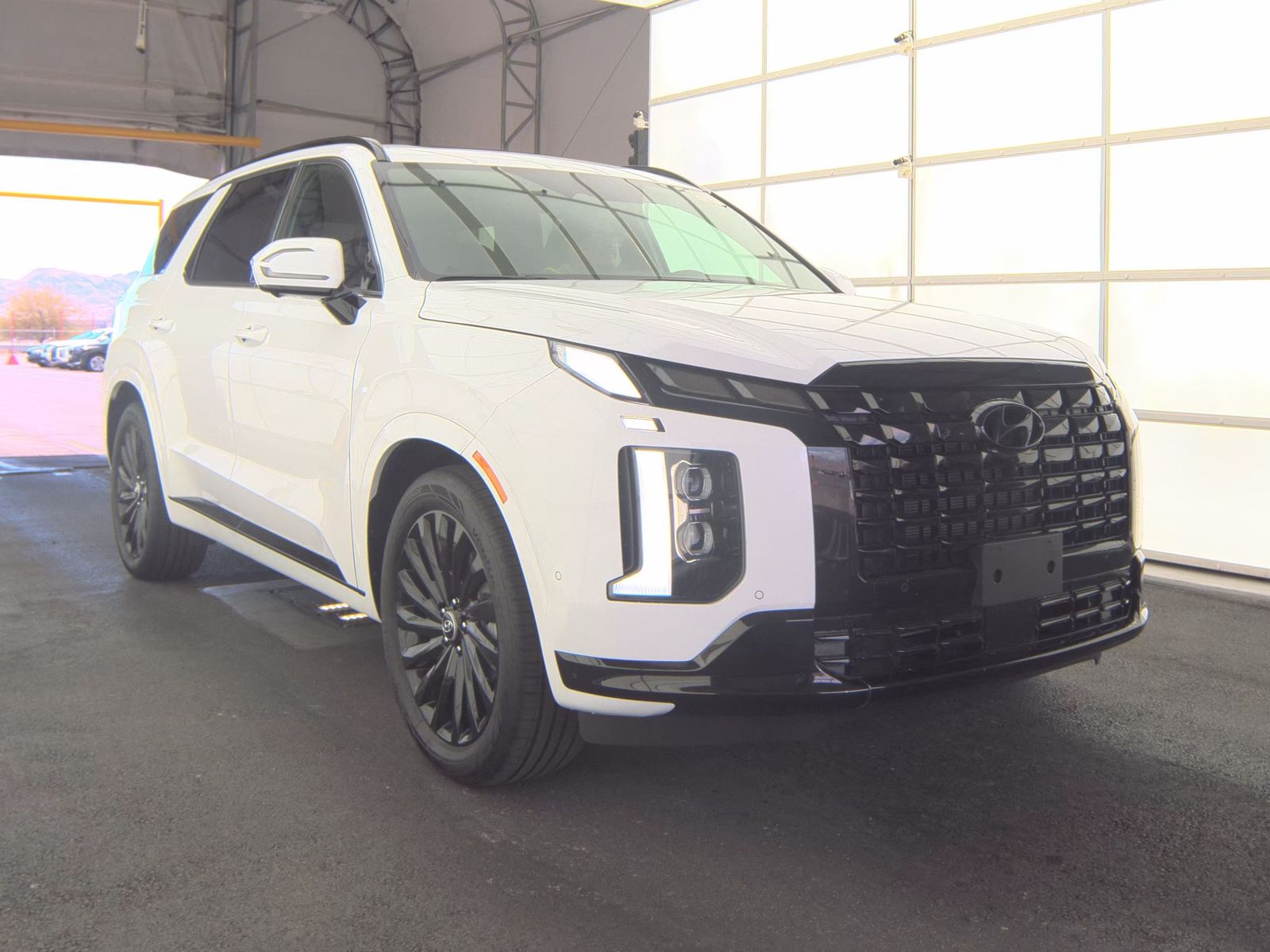 HYUNDAI PALISADE - 5