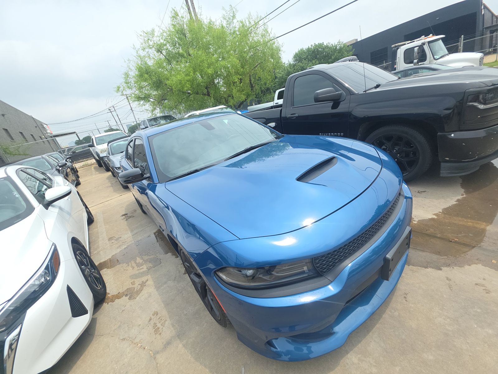 DODGE CHALLENGER - 3