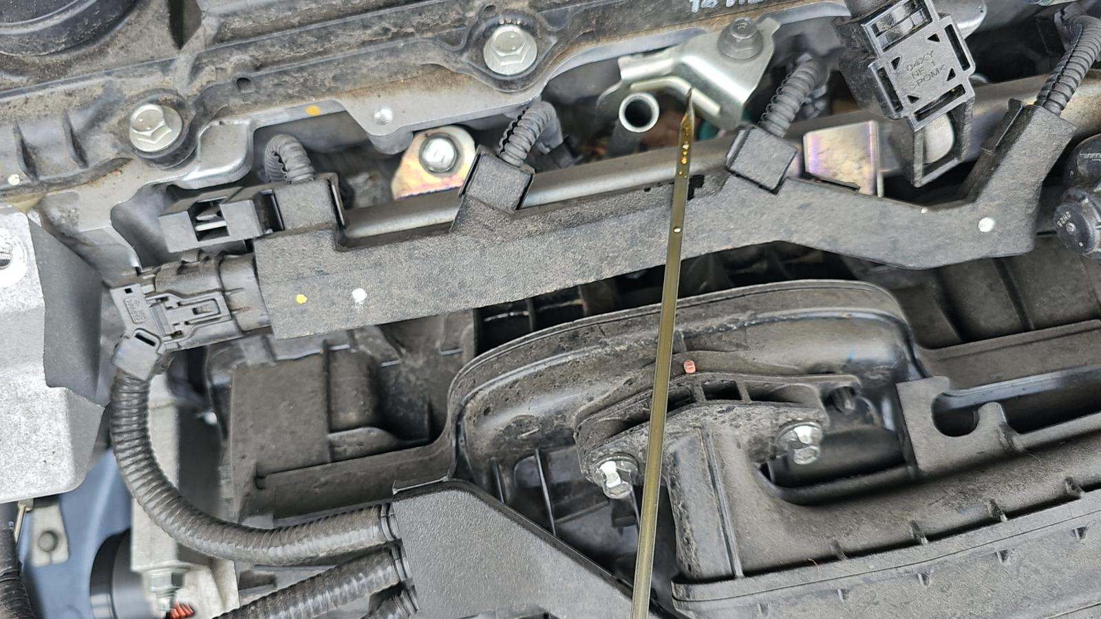 Thumbnail 20