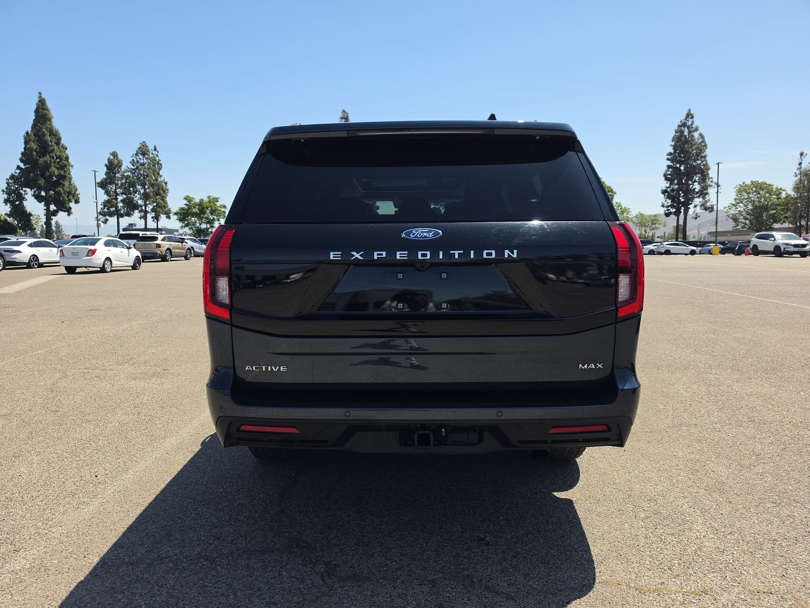 FORD EXPEDITION MAX - 6