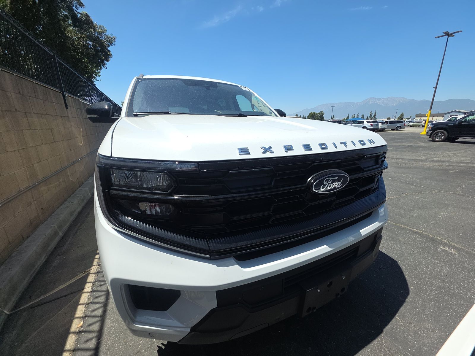 FORD EXPEDITION MAX - 3
