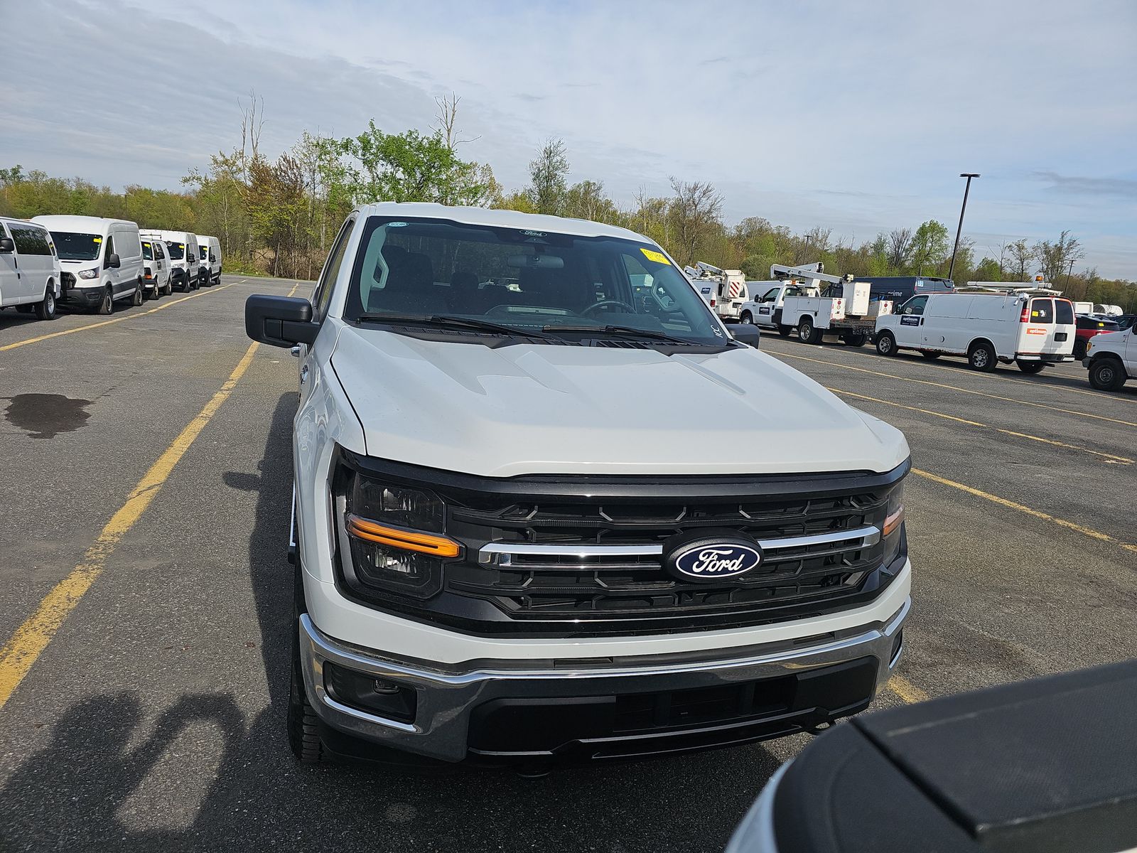 FORD F-150 - 3