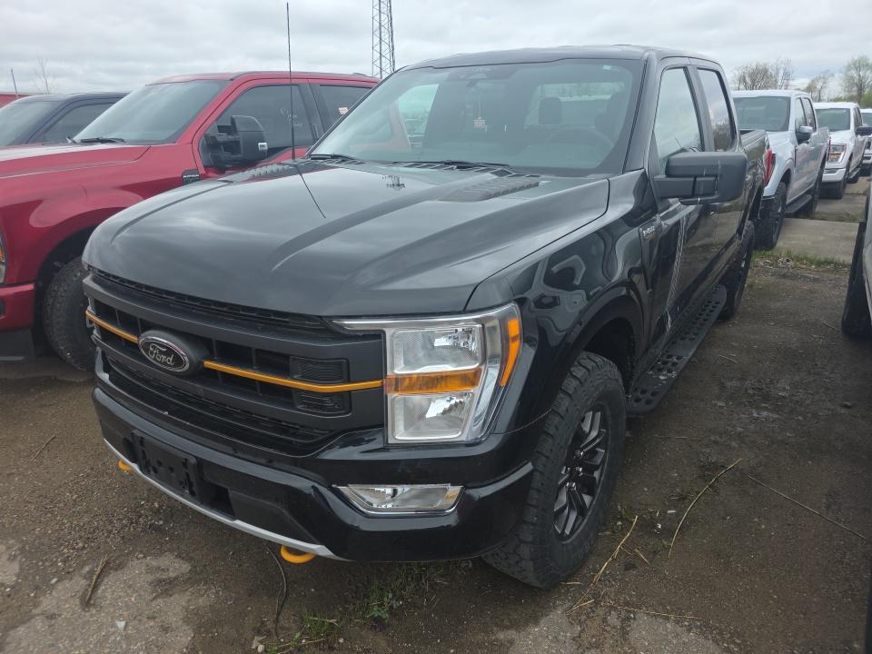 FORD F-150 - 1