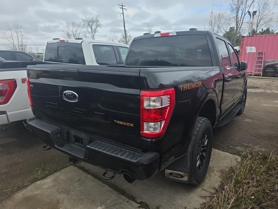 FORD F-150 - 5