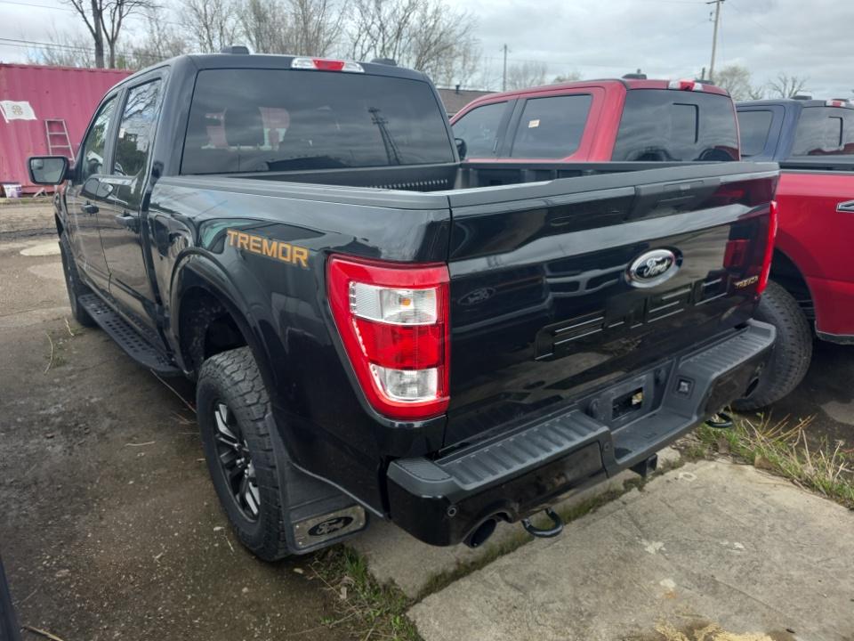 FORD F-150 - 7
