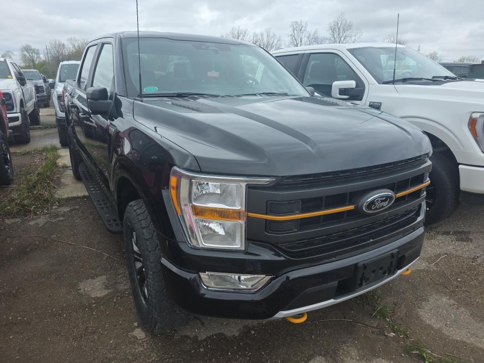FORD F-150 - 4