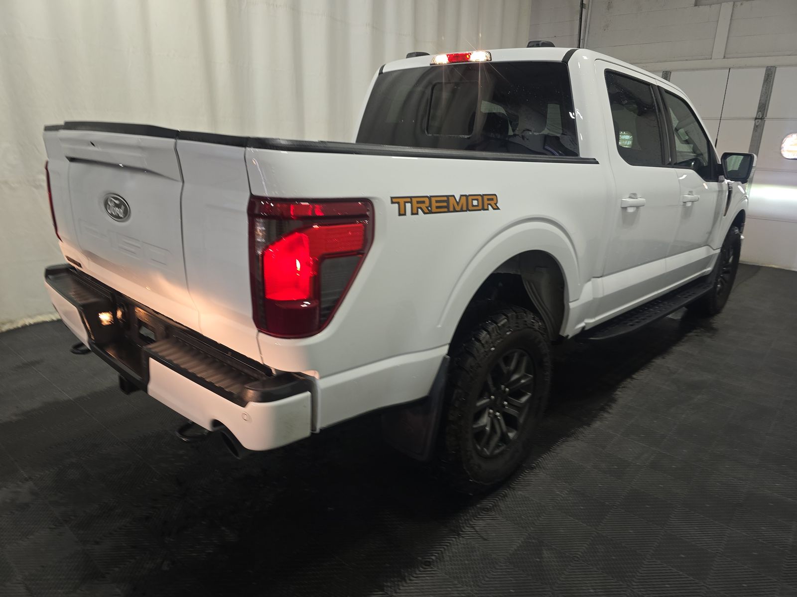 FORD F-150 - 5