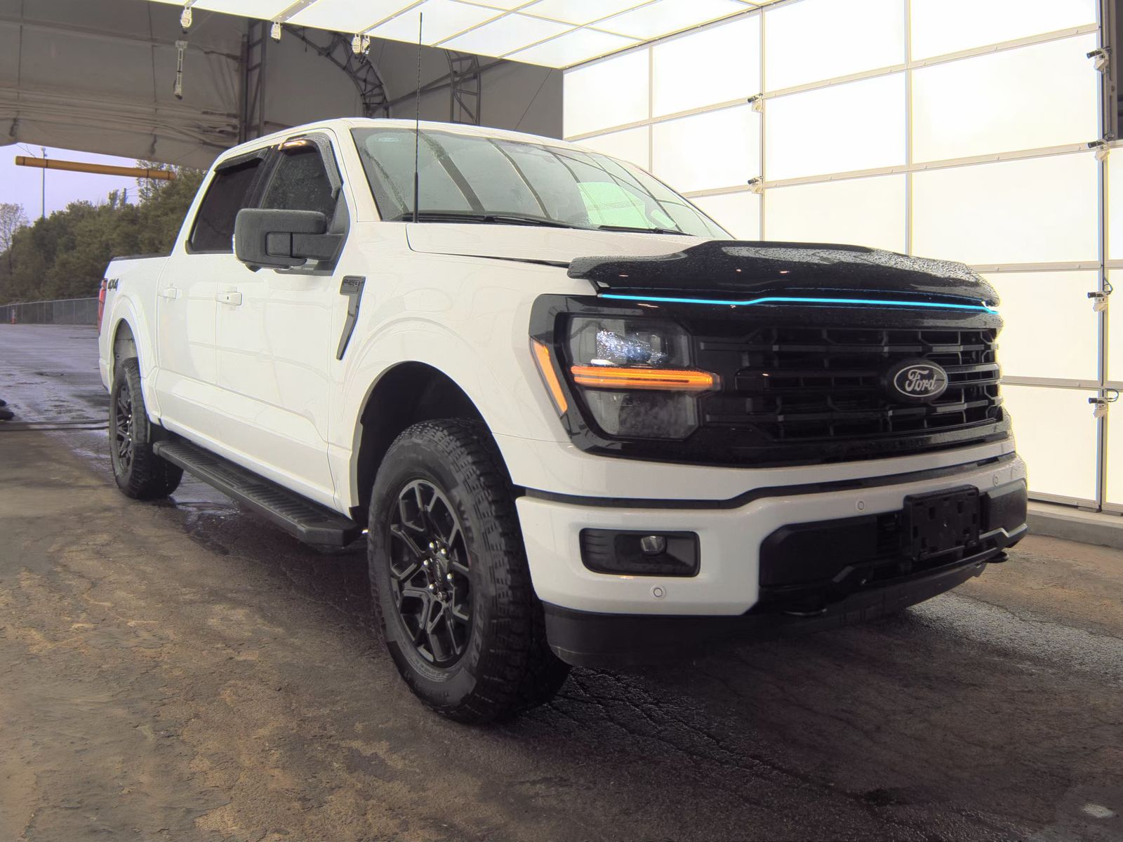 FORD F-150 - 5