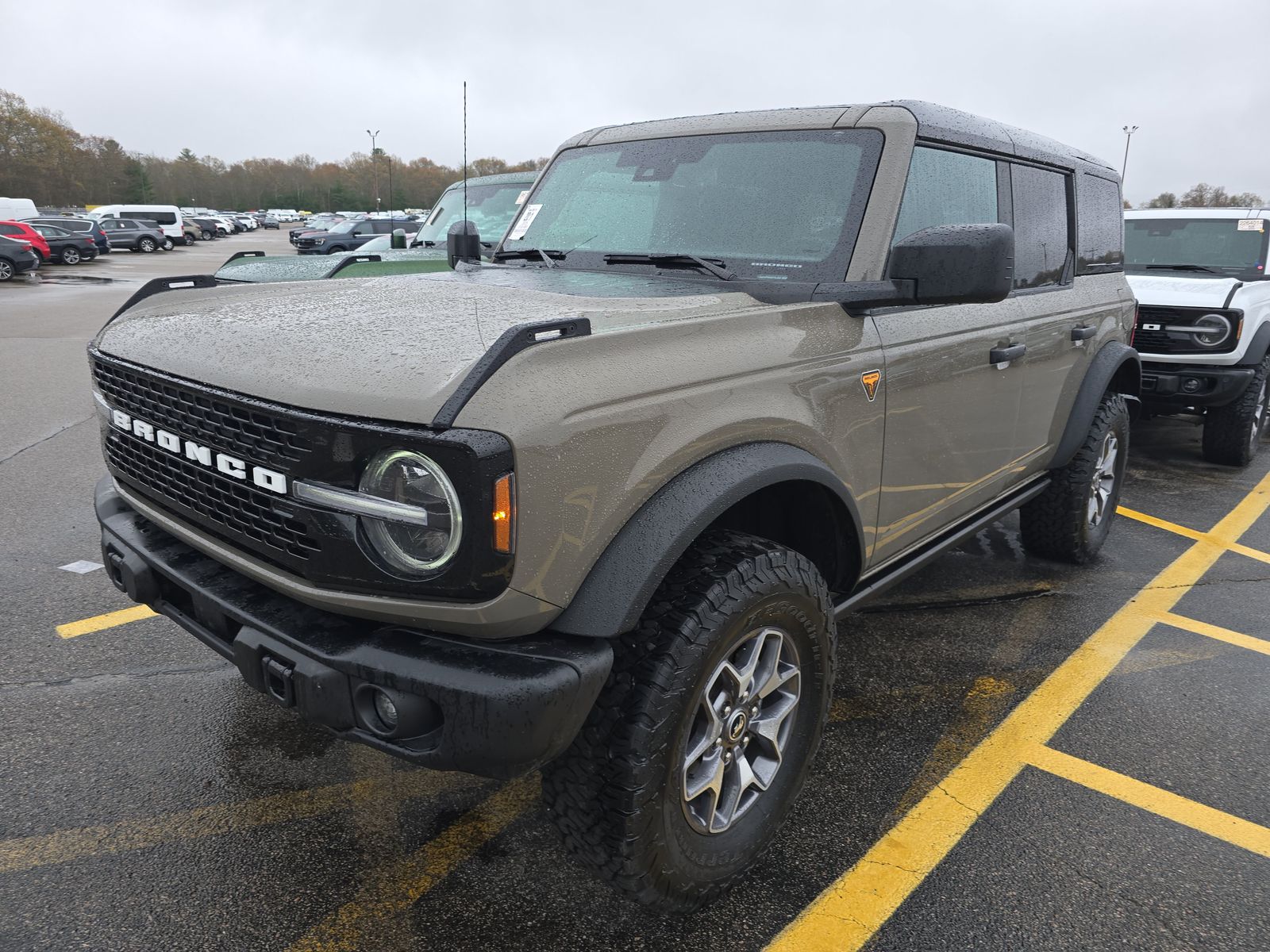 FORD BRONCO - 1
