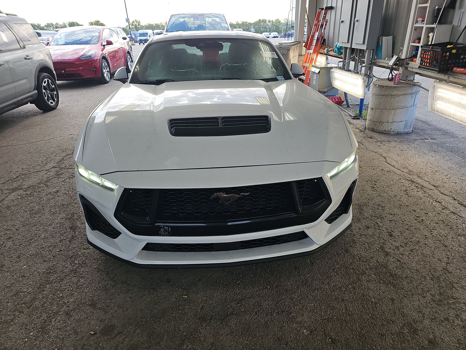 FORD MUSTANG - 3