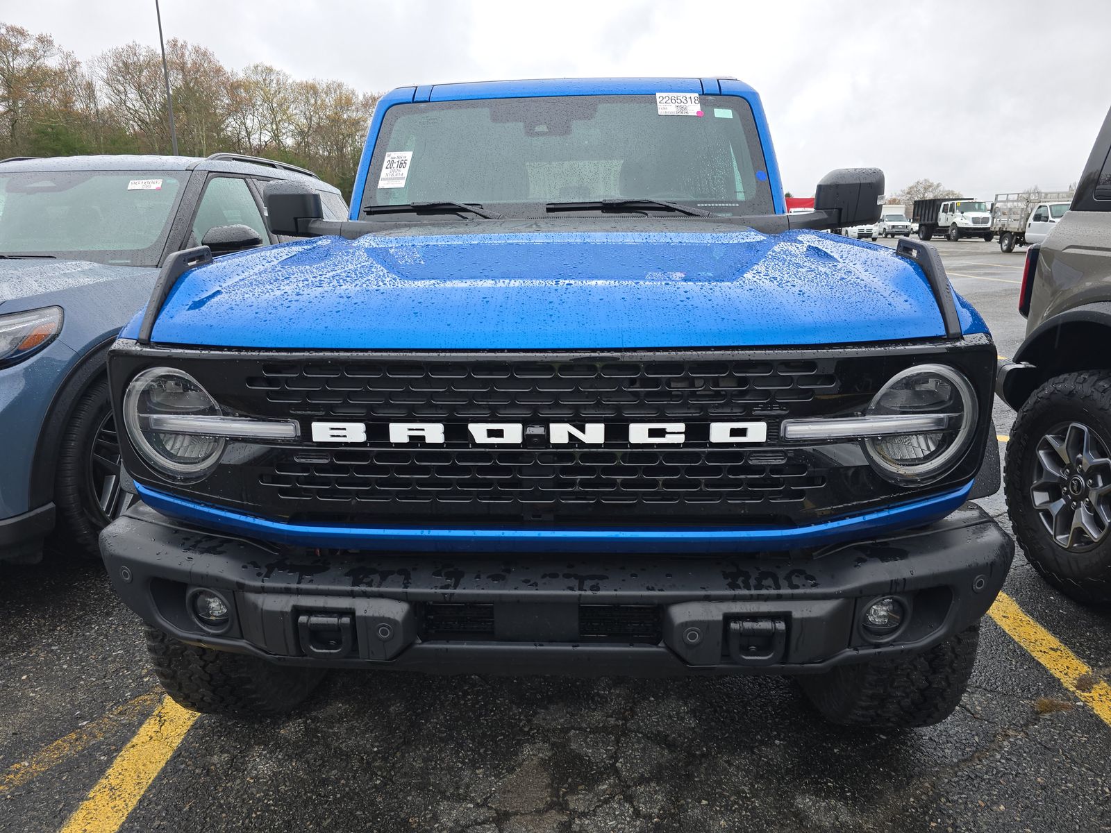FORD BRONCO - 3