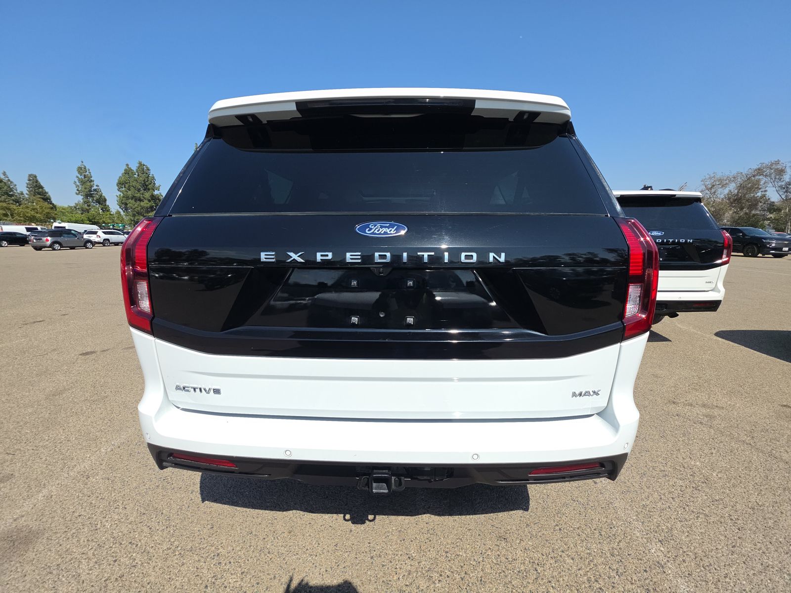 FORD EXPEDITION MAX - 6
