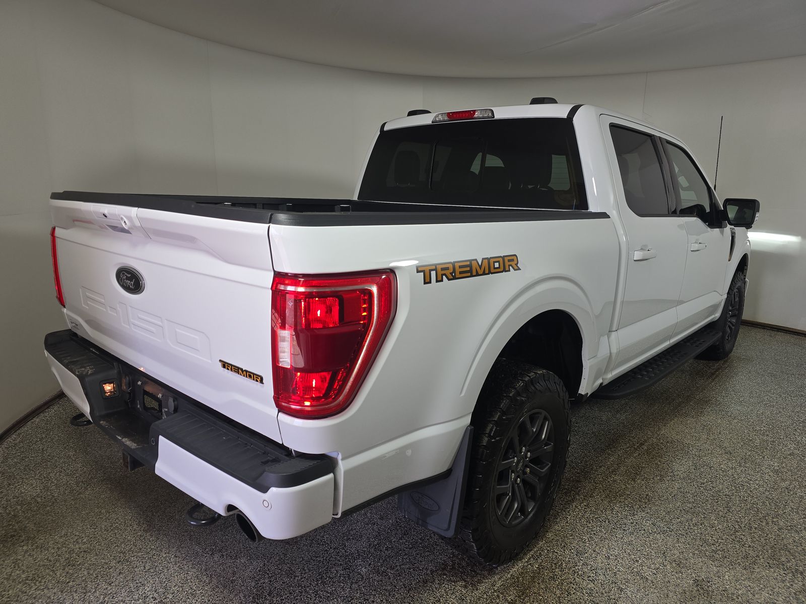 FORD F-150 - 5