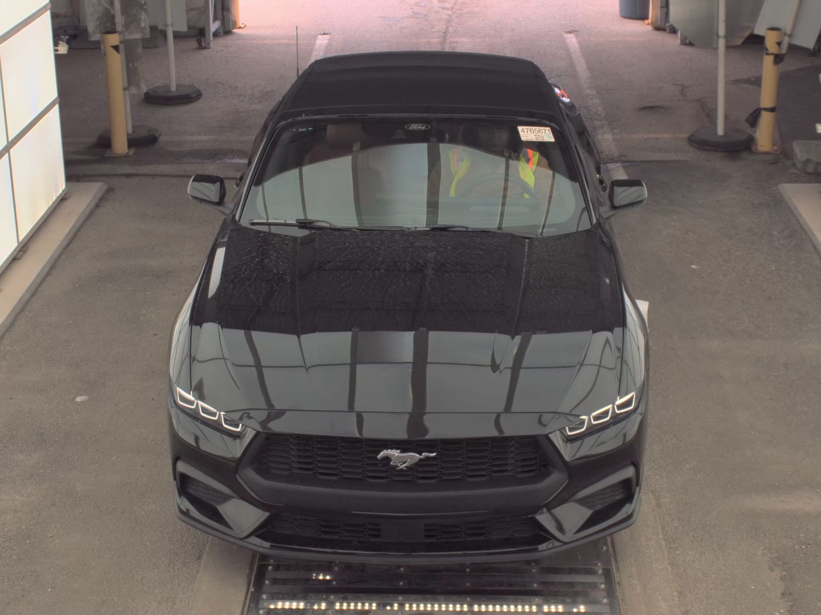 FORD MUSTANG - 3