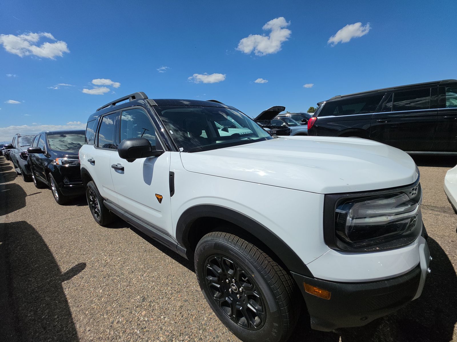 FORD BRONCO - 4