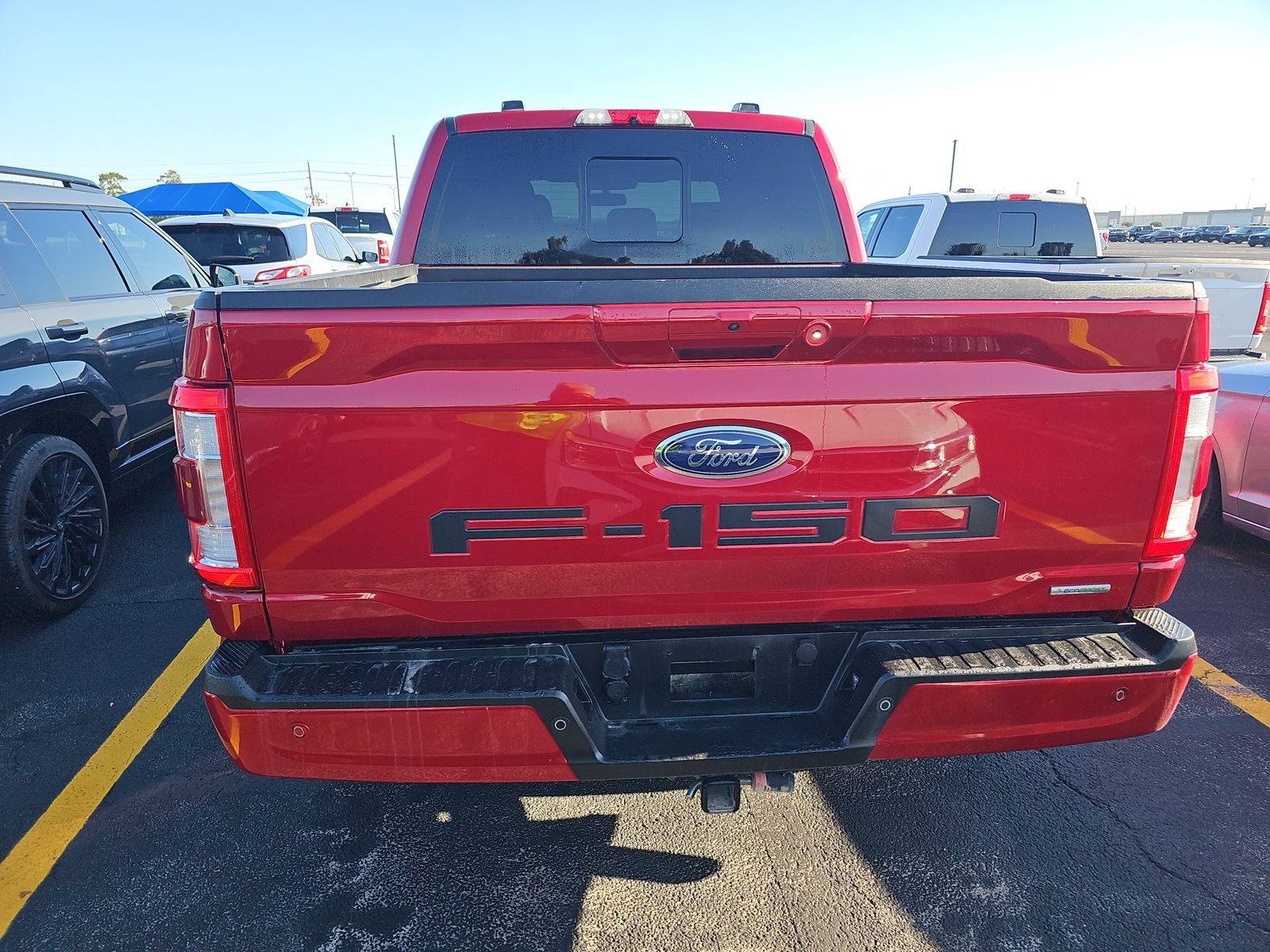 FORD F-150 - 6