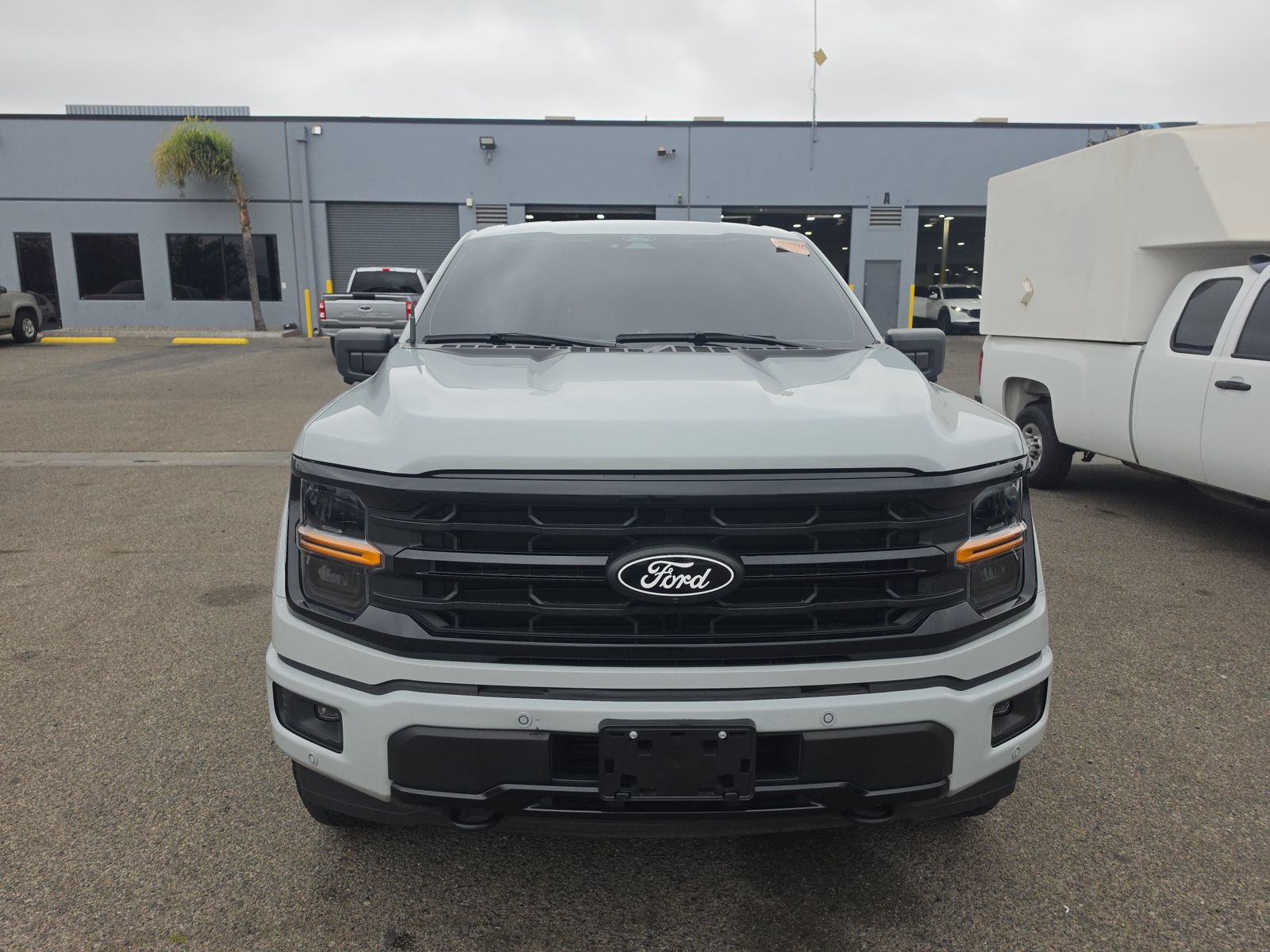 FORD F-150 - 3