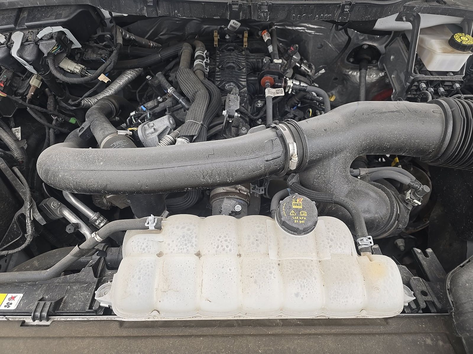 2024 Ford F-150 XLT AWD