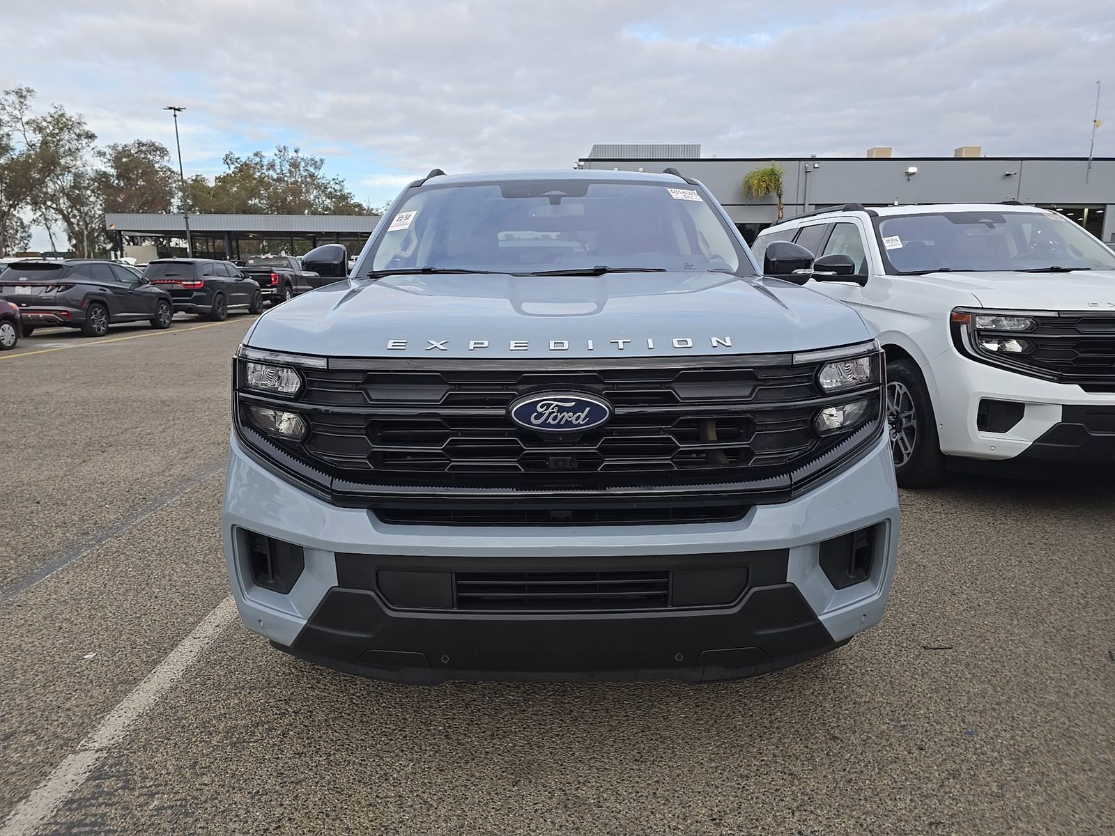 FORD EXPEDITION MAX - 3