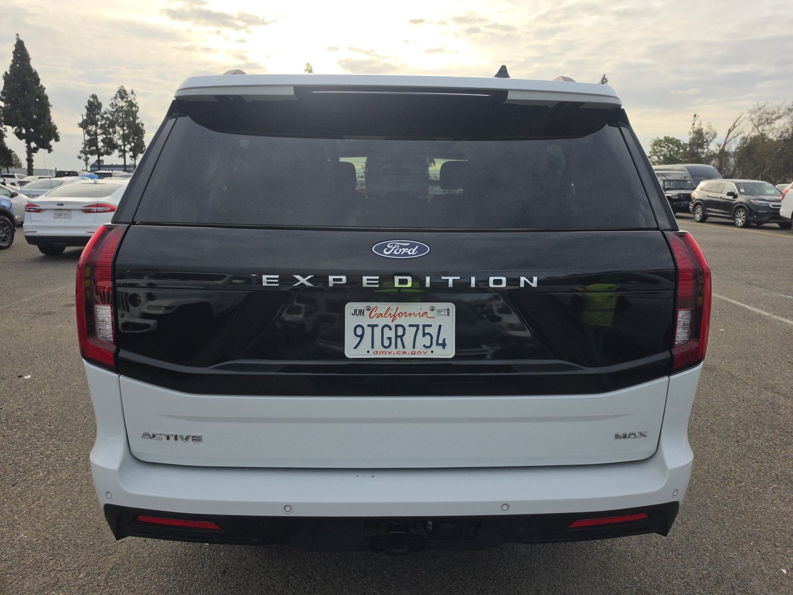 FORD EXPEDITION MAX - 6