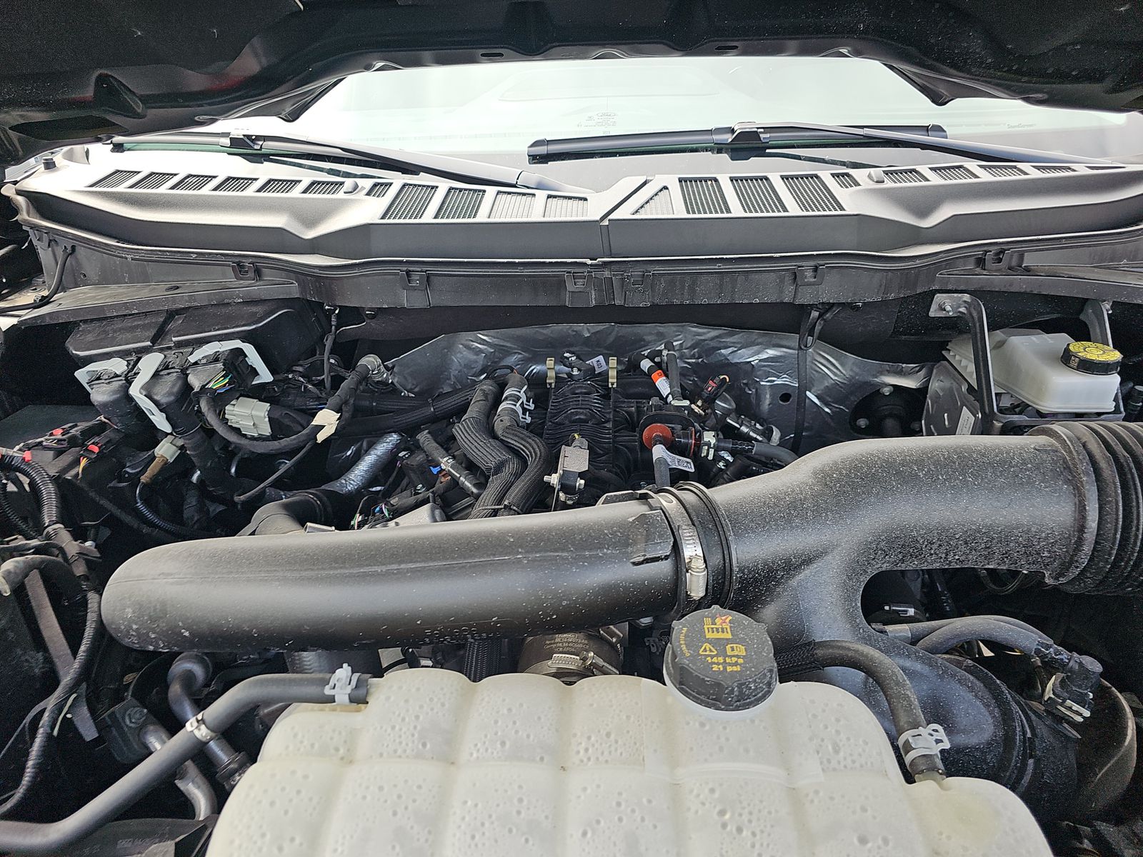 2025 Ford F-150 XLT AWD