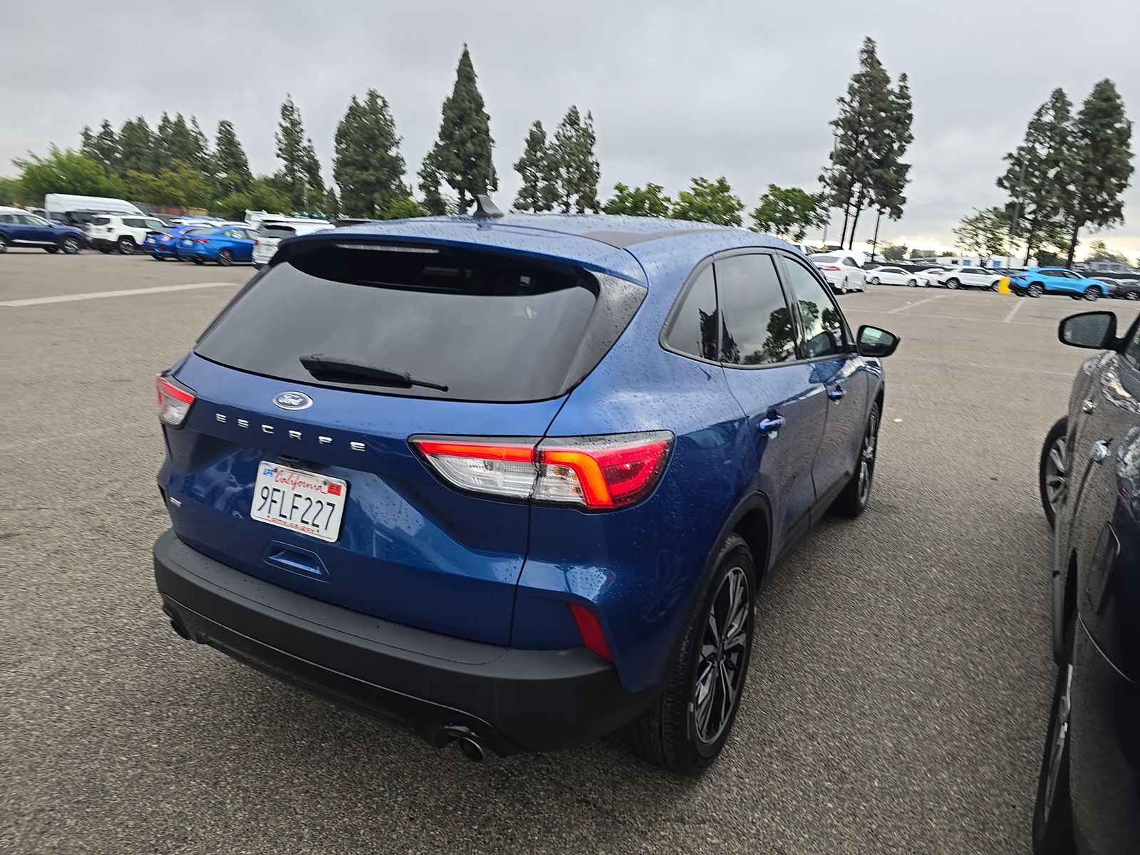 FORD ESCAPE - 5