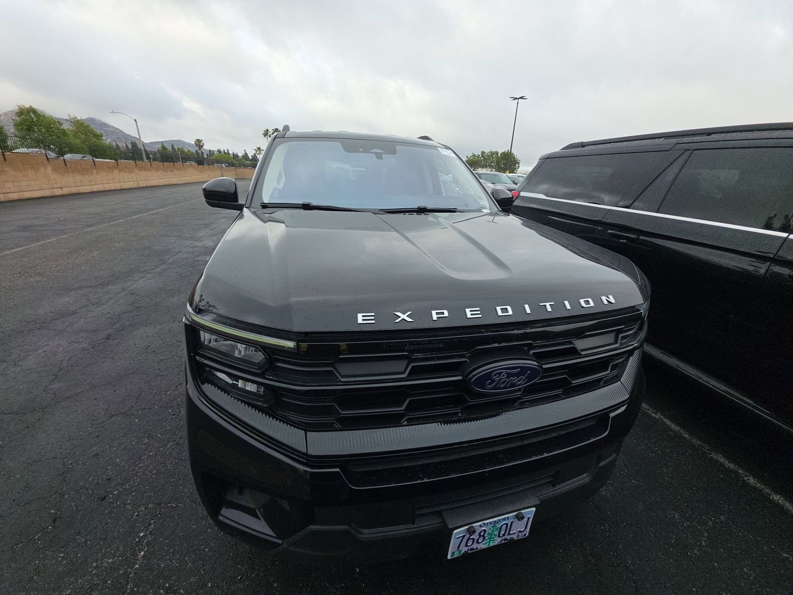 FORD EXPEDITION MAX - 3