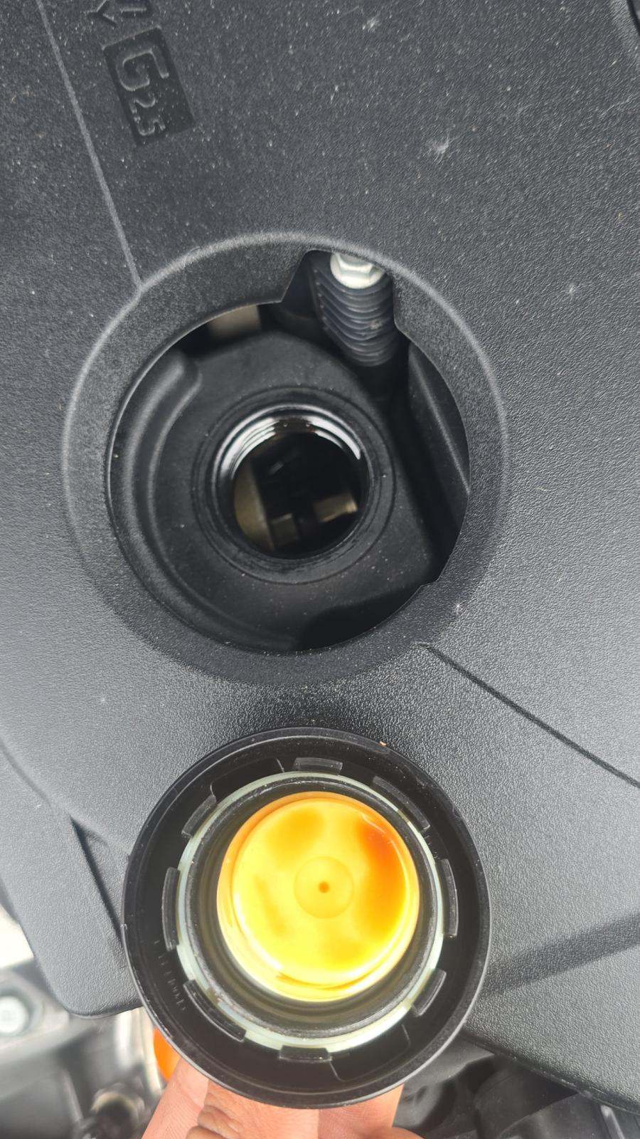 2024 Hyundai Tucson SEL FWD