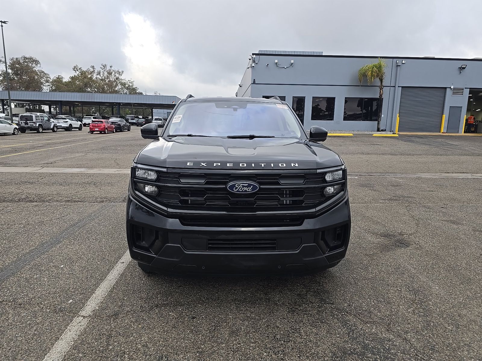 FORD EXPEDITION - 3