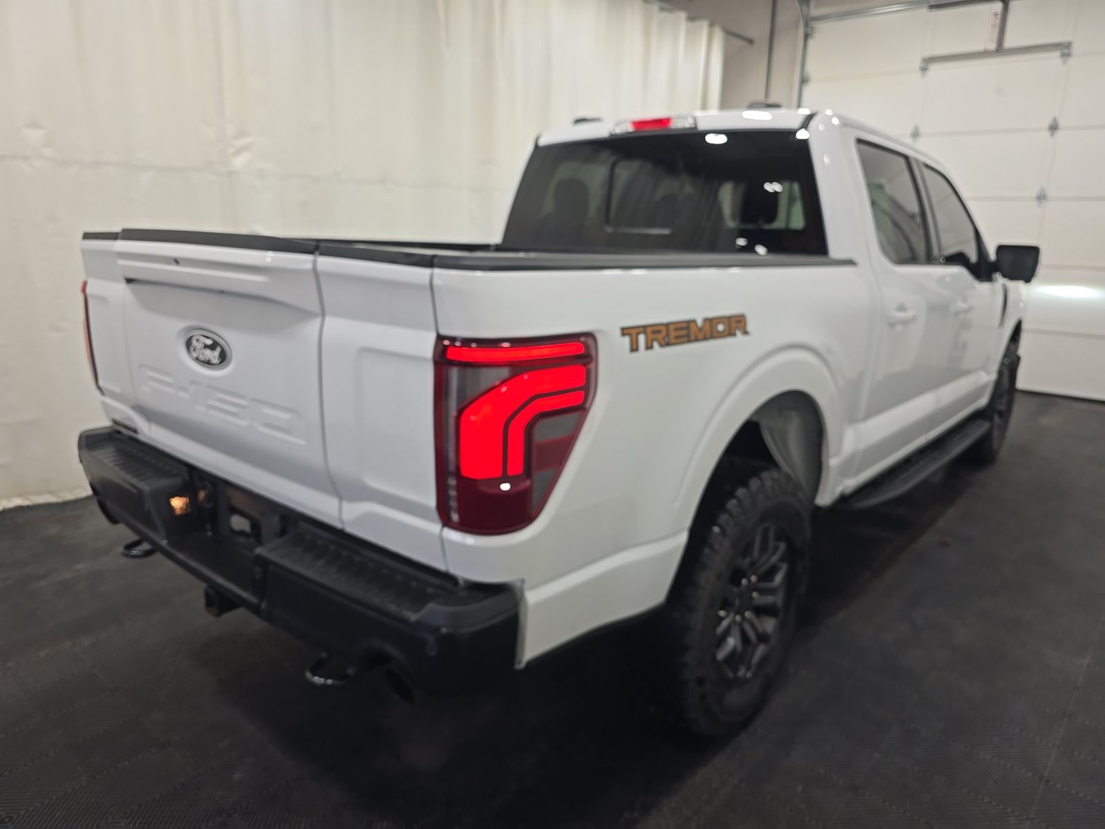 FORD F-150 - 5